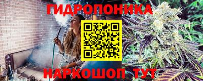 МДМА Можга