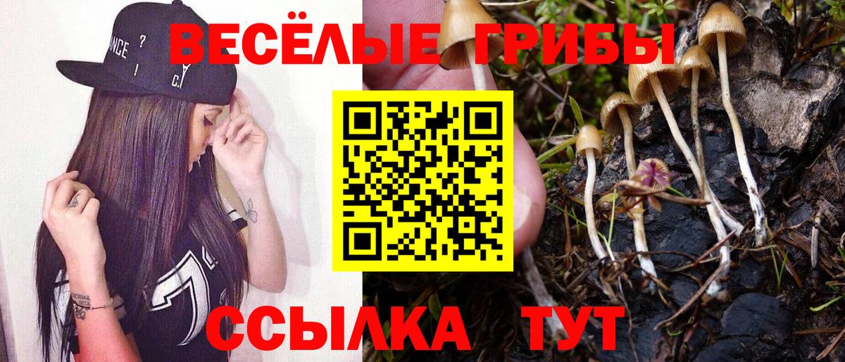 Псилоцибиновые грибы мухоморы  Вход с VPN  Галлюциногенные грибы MAGIC MUSHROOMS  Спасск-Дальний 