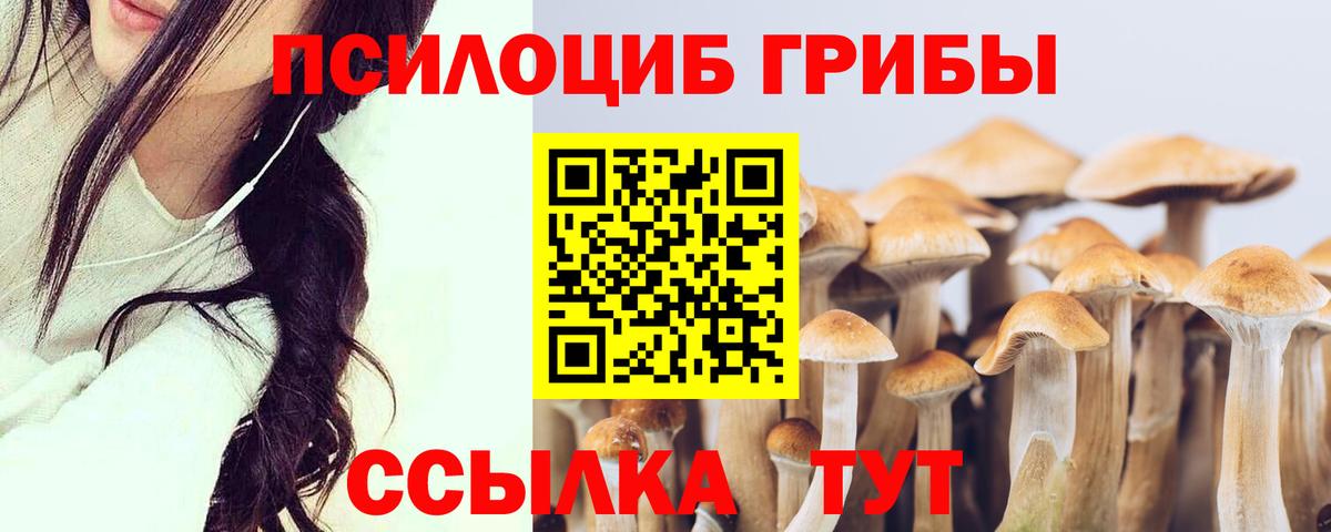 Псилоцибиновые грибы Psilocybine cubensis Спасск-Дальний
